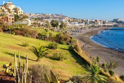 The 7 best things to do in Tenerife’s Costa Adeje, from sunbathing to whale watching