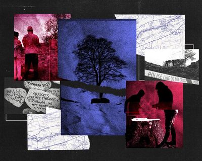 ‘Stealing joy’: the sadness and symbolism of the crime at Sycamore Gap