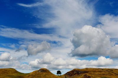 ‘Totemic’ Sycamore Gap tree inspired countless photos until it was felled