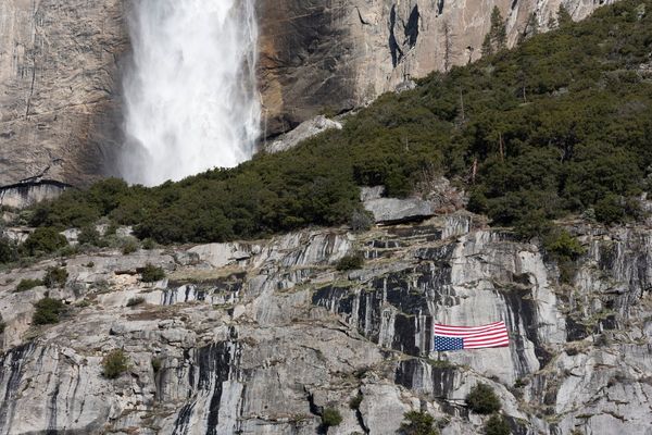 Rangers hit out at Trump’s plans for National Parks: ‘They’re going to be sold off’