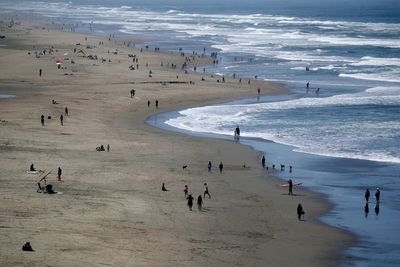 Bay Area man dies trying to save dog from surf on beach