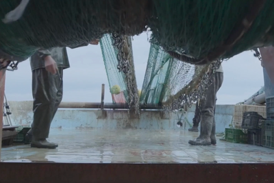 Shocking David Attenborough footage shows destruction caused by trawling seabed