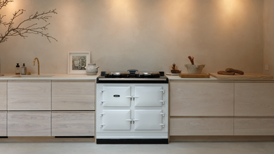 Not Just for Country Cottages — These Modern Aga Kitchens Prove Heat Storage Stoves Don't Have to be Trad