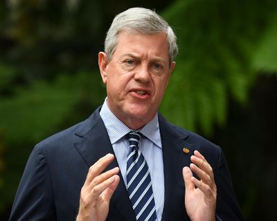 Queensland government held 21-minute consultation on puberty blocker ban at same time it announced decision