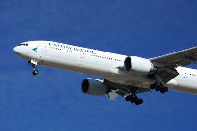 Three-year-old boy served wine on Cathay Pacific flight to London