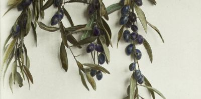 Palestinian literature: a rich literary heritage from a nation in exile