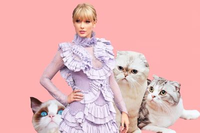 How cats became Britain's favourite pet — thanks to celebrity owners from Taylor Swift to Katy Perry