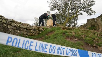 Two men found guilty of criminal damage in UK for felling beloved Sycamore Gap tree