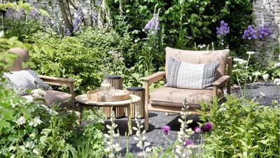 I have the inside track on the Chelsea Flower Show 2025, and these are the 5 tips first-time visitors need to know before attending this year