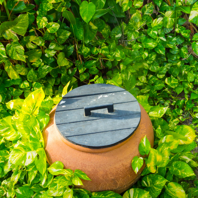 This easy method means you can water your plants while on holiday – it’s so effective that people have been using it for thousands of years