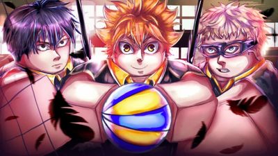 Volleyball Ascended codes (May 2025)