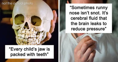 “Human Body Facts That Will 100% Trigger You”: 18 Obscure Yet Terrifying Facts About Us Revealed By This TikToker