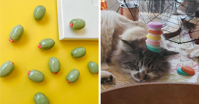 Your Brain Might Get Confused By These 25 Awesome Food-Shaped Finds