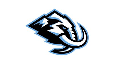 No, the Utah Hockey Club didn't steal its logo design