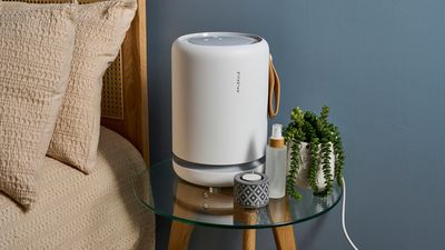 6 questions to ask before choosing an air purifier