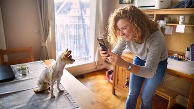 ​​Professionals reveal how to take the best photos of your pets at home