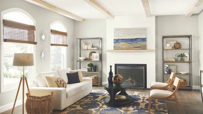 Yes, we all hate gray right now – but it seems we all agree that this Sherwin-Williams trending paint is the perfect balanced gray we can't part with