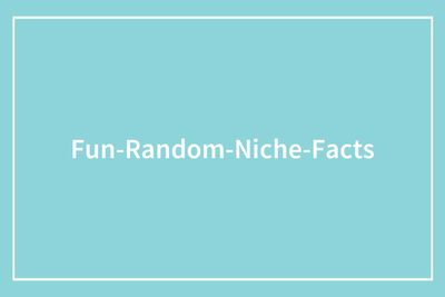 50 Facts From X That Went From “Who Cares?” To “I’m Obsessed” In Seconds