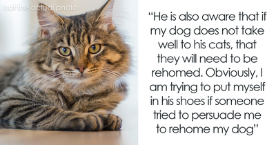 Rottweiler Owner Asks If She’s Being Unreasonable To Want To Get Rid Of Fiancé’s Cats