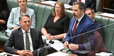 Dumped minister Ed Husic labels Deputy Prime Minister Richard Marles ‘factional assassin’