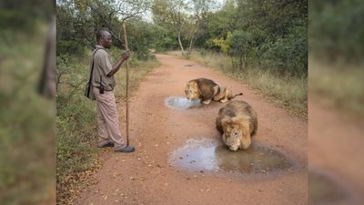 Zed Nelson’s award-winningwildlife photography project holds an unsettling mirror to the way humans interact with the natural world