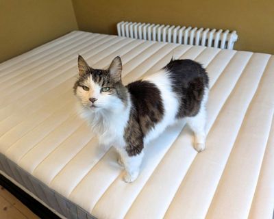 Ikea Valevåg mattress review: a brilliant budget buy or too cheap for comfort?