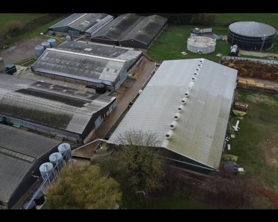 UK supermarkets suspend supplies from Lincolnshire pig farm over cruelty claims