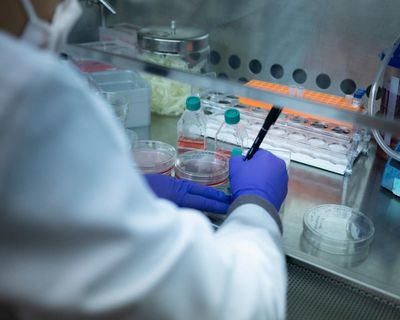 Nottinghamshire families left unaware of babies’ blood test results in second NHS error