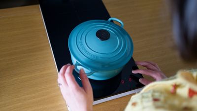 If you’re looking for a bargain portable induction hob, IKEA has just the thing