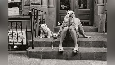 Elliott Erwitt taught us well; now I hold one of his last photo books. Here is 'Last Laughs' and why it is so important