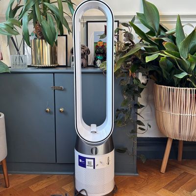 Can the Dyson Purifier Cool PC1 replace your fan and air purifier? I put it to the test in my home during the height of allergy season