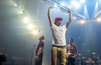Blink-182 have a common goal, says Mark Hoppus