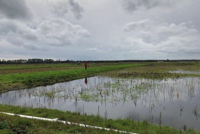 Pioneering mapping data shows 80% of England’s peatlands are dry and degraded