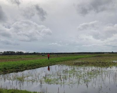 Eighty percent of England’s peatlands are dry and degraded, mapping shows