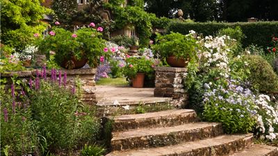 These 5 household items make perfect planters for a unique touch in container gardens – plus, they'll save you buying expensive plant pots