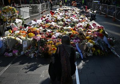 Nurse who treated Joel Cauchi for schizophrenia threw up when told about Bondi Junction stabbings, inquest hears