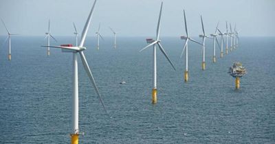 New floating wind farm in North Sea to create '1000 jobs'