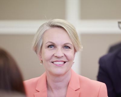 Anthony Albanese reveals new cabinet with Tanya Plibersek named as minister for social services