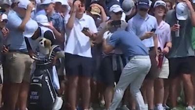 Watch The Moment Wayward Shot Almost Hits Rory McIlroy At Truist Championship