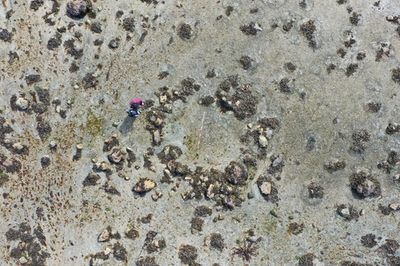 Mystery stone circle reveals ‘ultimate adventure story’ of human presence in Europe