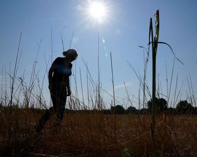 Weather tracker: North America could experience record heat as high pressure builds