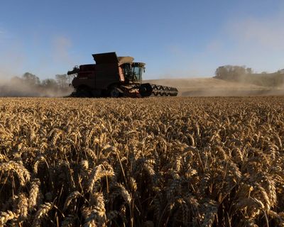 Trade deal with US could spell end of UK’s bioethanol industry, say bosses