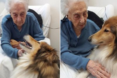 Was this common food key to Maria Branyas Morera living to 117?