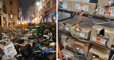 50 Rare Photos That Allow Us To See Things From A Different Perspective (New Pics)