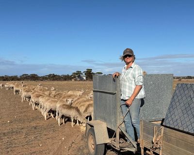 ‘Getting barer by the day’: drought conditions in SA and Victoria worsen, leaving rural communities in the dust