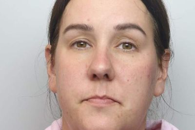 Ex-Tory councillor’s wife seeking to appeal sentence for racial hatred tweet