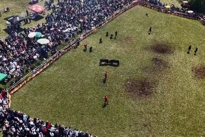 Moment bullfight spectators run for safety after rampaging animal escapes ring