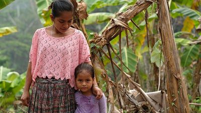 Banana farmers are ‘battling daily’ with climate change, warns report urging leaders not to slip up