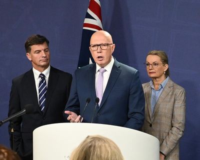 The Liberals are about to select Peter Dutton’s replacement. Here’s who is in the running