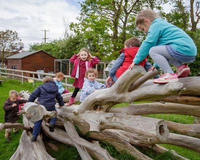 Changes to nursery space requirements in England risk overcrowding, experts say